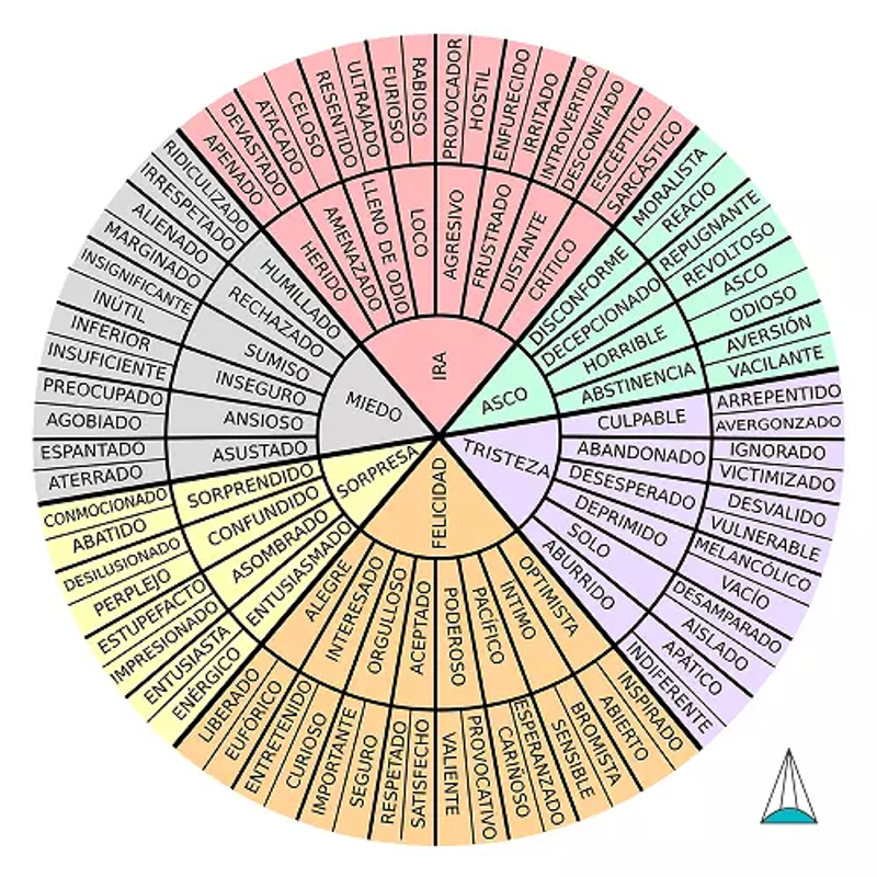 Rueda de emociones 